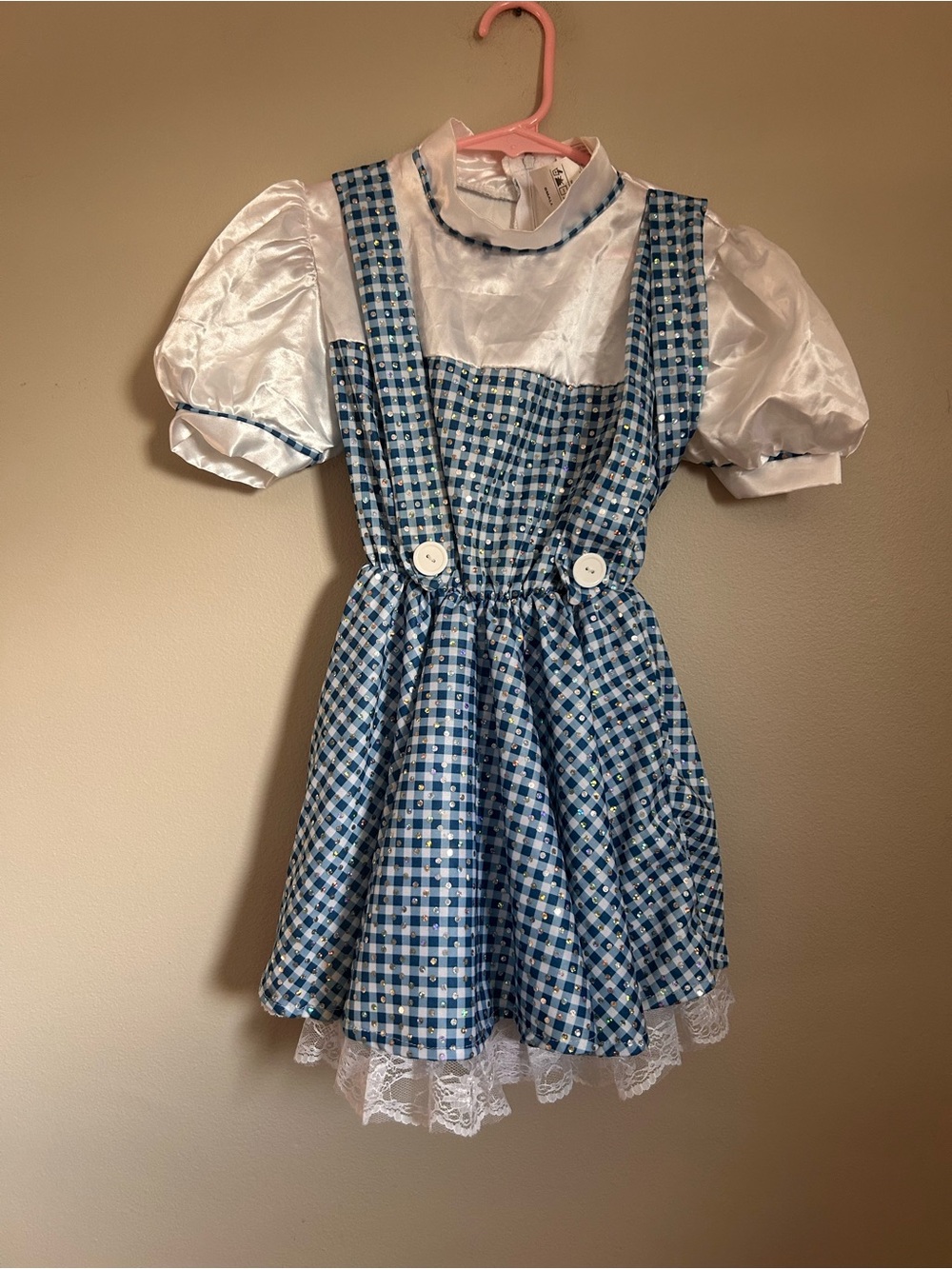 Iconic Blue Gingham Kids Costume Wizard of Oz Dorothy Dress size small